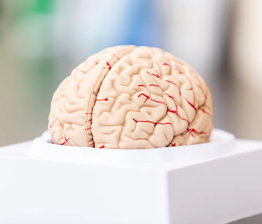 生活習慣病と脳卒中予防